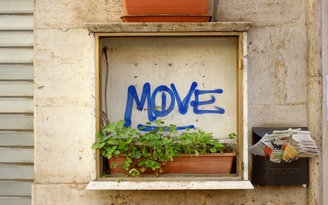 Move-Out Disputes