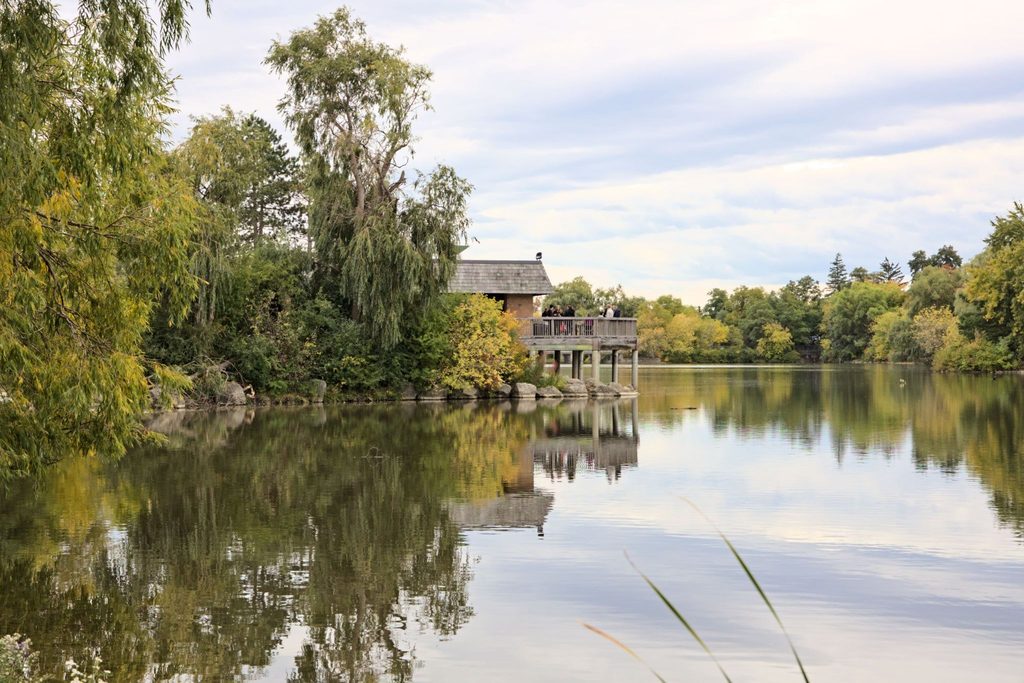 image | Manage Your Property Wooden viewing deck on stilts over a calm lake, surrounded by green and autumn trees with people standing on the platform under a cloudy sky.